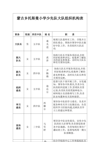 小学少先队大队组织机构表