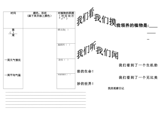 小学植物生长观察记录表