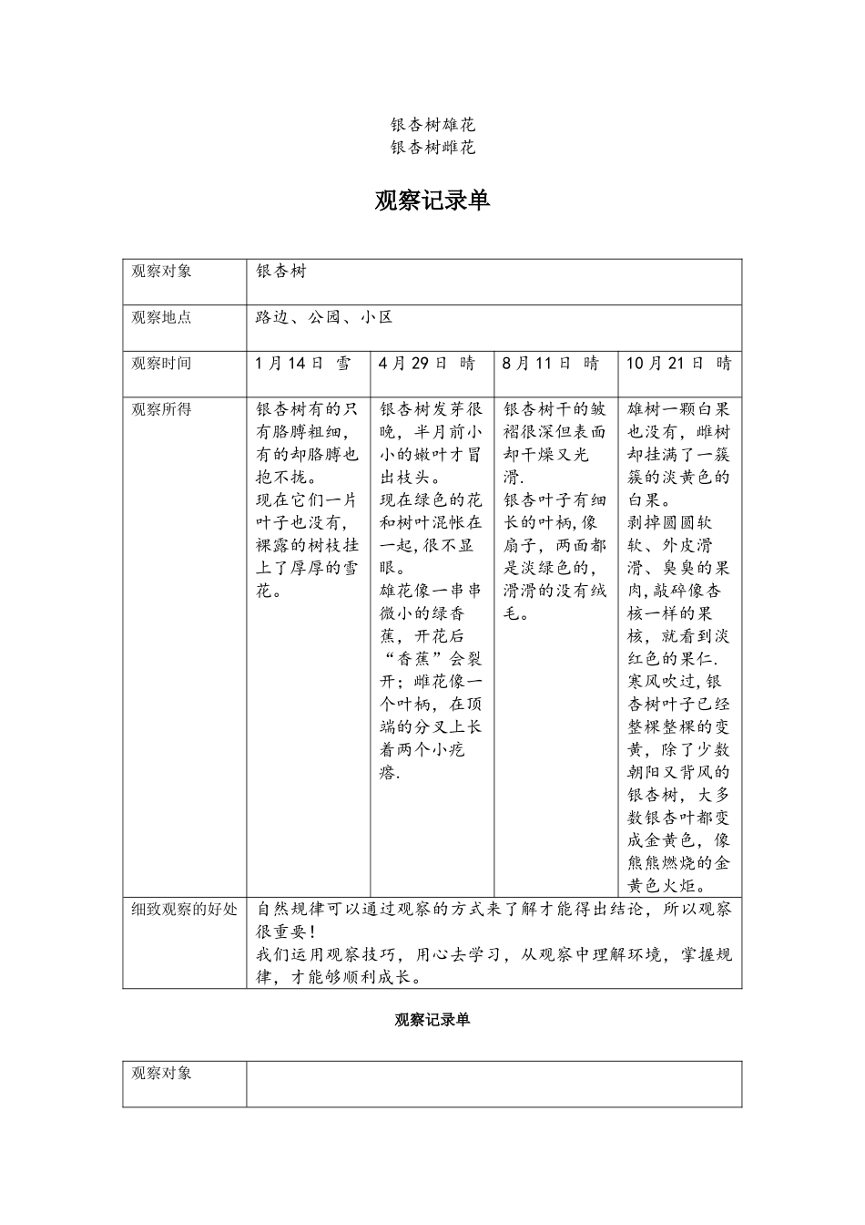 小学生《观察记录表》之银杏树观察_第1页