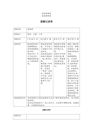 小学生《观察记录表》之银杏树观察