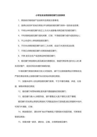 小学生安全燃放烟花爆竹注意事项