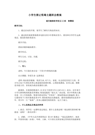 小学生禁止吸毒主题班会教案