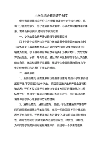 小学生综合素质评价制度完整