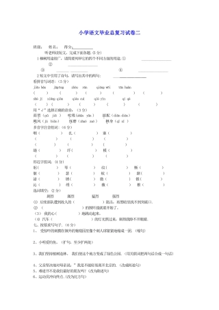 小学语文毕业总复习试卷二-冀教版