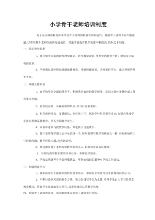 小学骨干教师培训制度