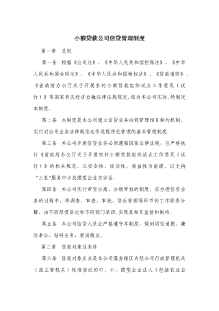 小额贷款公司信贷管理文件