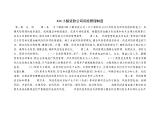 小额贷款公司风险管理制度