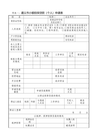 小额贷款申请表