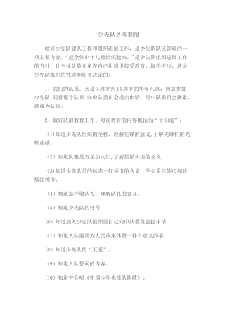 少先队各项制度