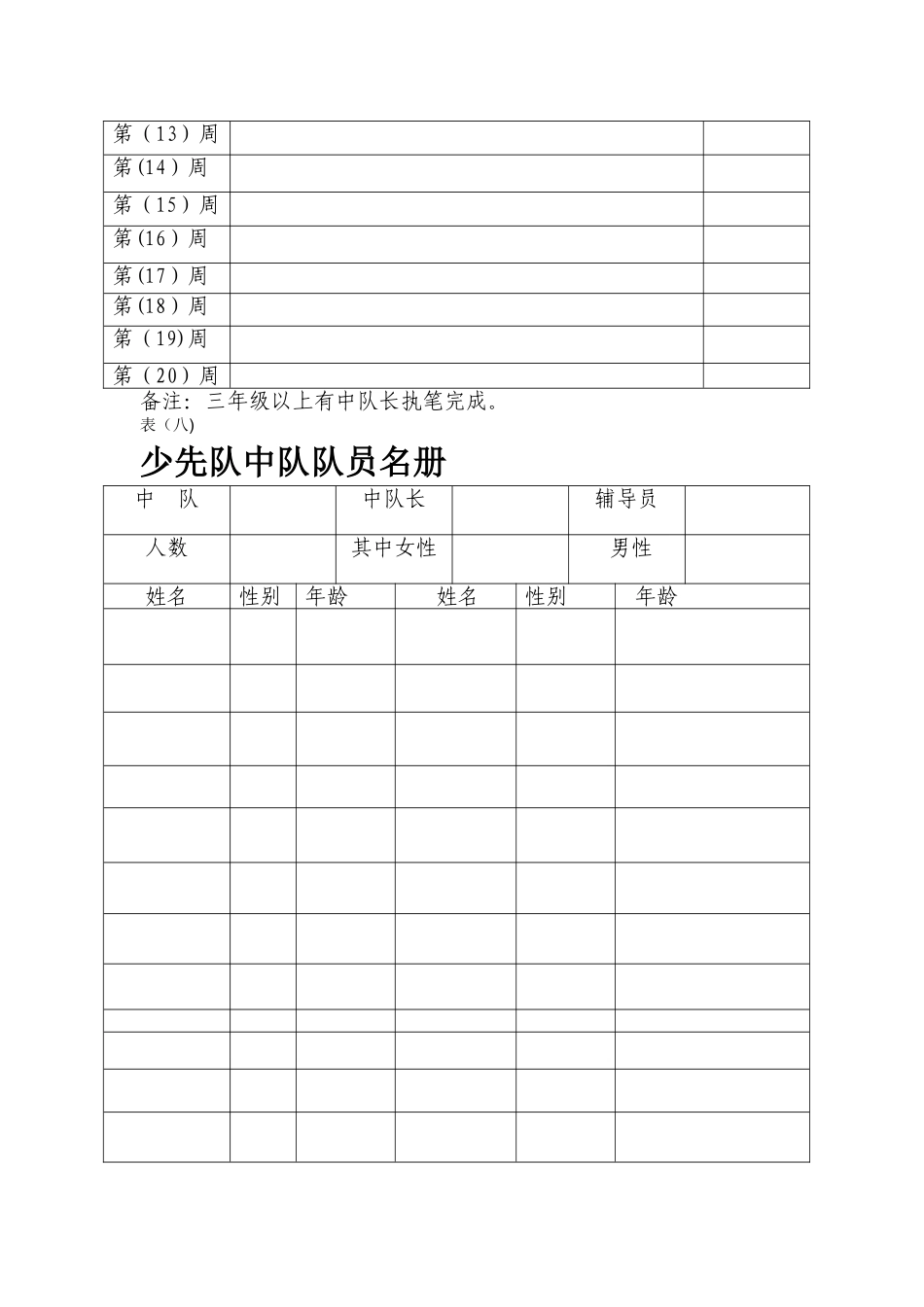 少先队各项资料规范表格_第2页