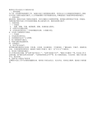 少先队干部培训计划
