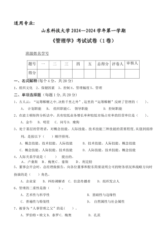 山东科技大学管理学试题