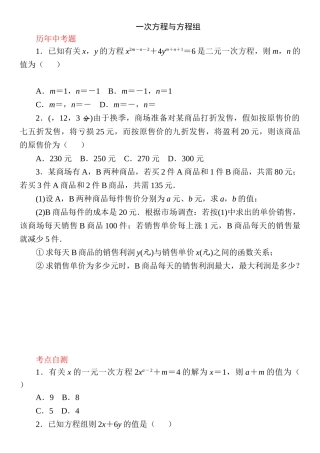 2025年春人教版九年级数学中考考点特训一次方程与方程组附答案