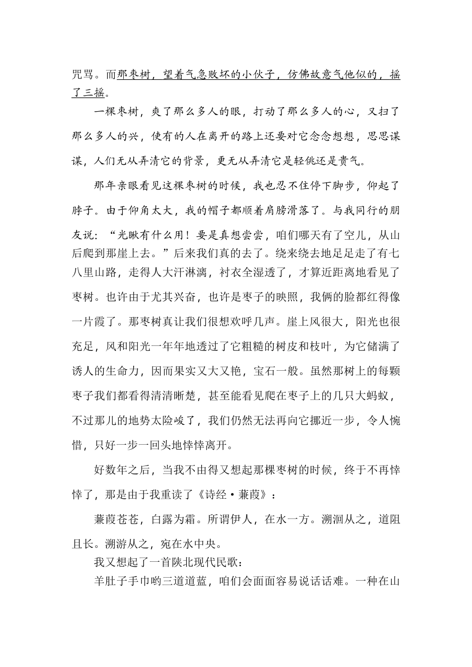 2025年中考语文考点突破复习测试_第2页