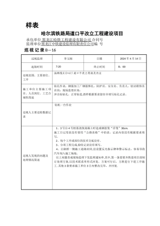 巡视记录填写样表