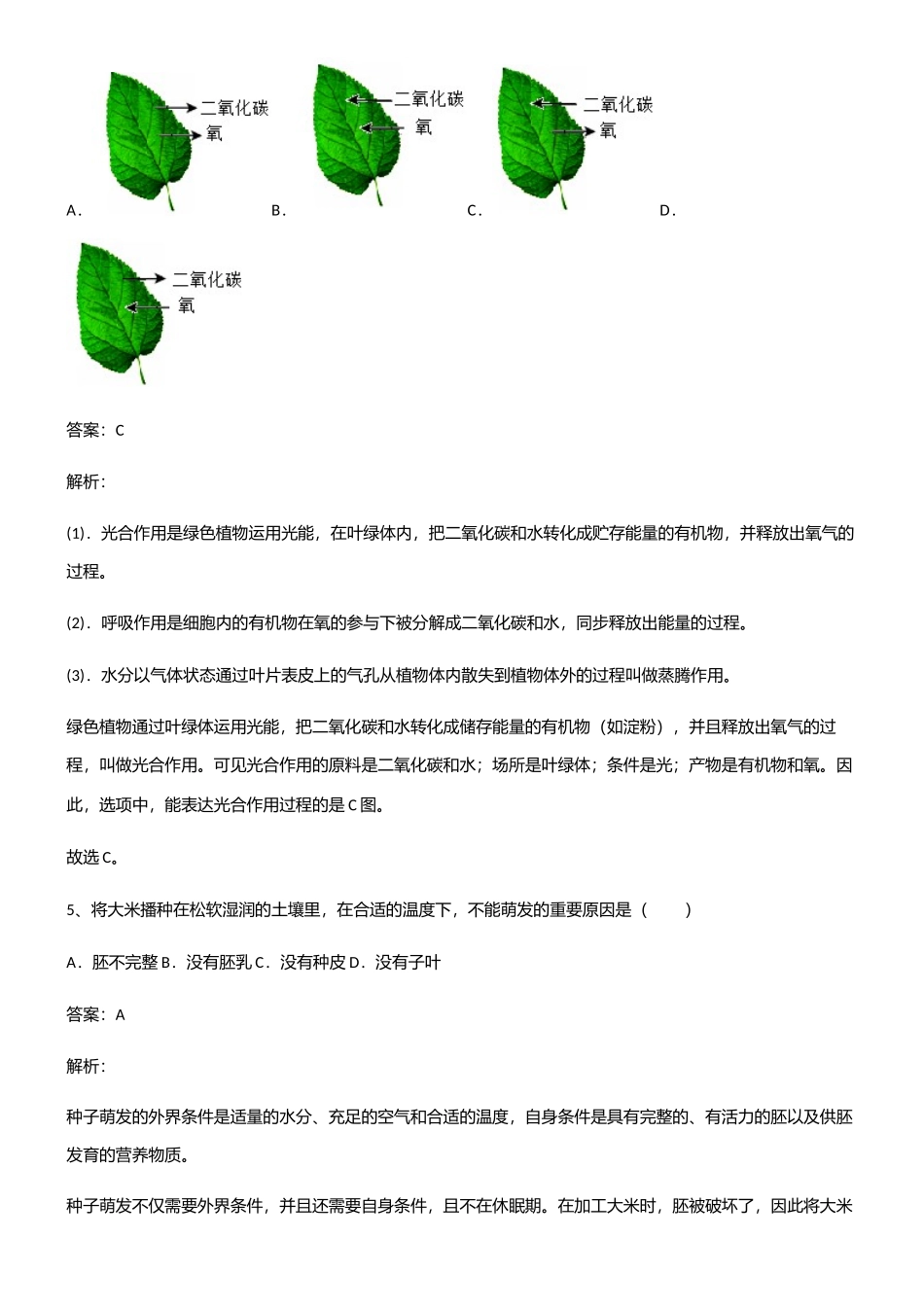 2025年初中生物七年级上册第三单元生物圈中的绿色植物易混淆知识点_第3页