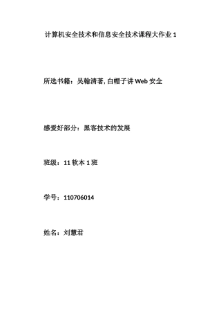 2025年计算机安全技术和信息安全技术课程大作业