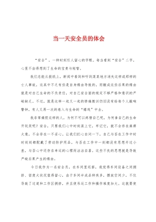 2025年当一天安全员的体会