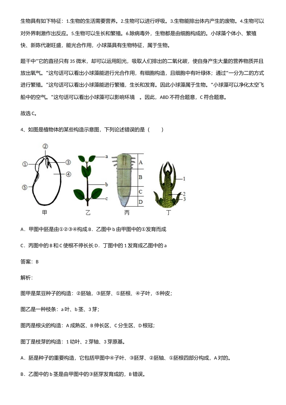 2025年初中生物七年级上册第三单元生物圈中的绿色植物知识点梳理_第3页