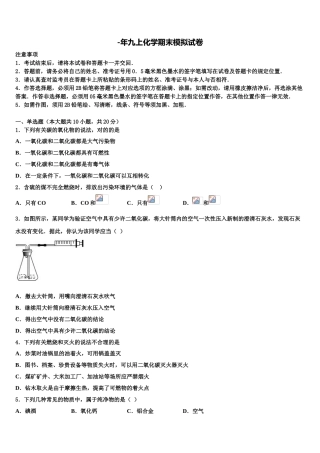2025年北京市广渠门中学化学九年级第一学期期末学业水平测试试题含解析
