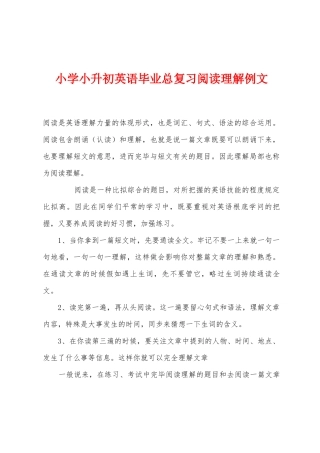 2025年小学小升初英语毕业总复习阅读理解例文