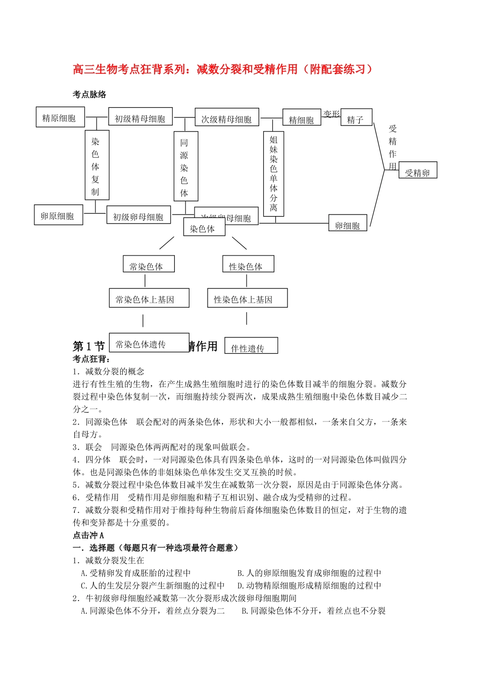2025年高考生物总复习备考考点必背知识减数分裂和受精作用_第1页