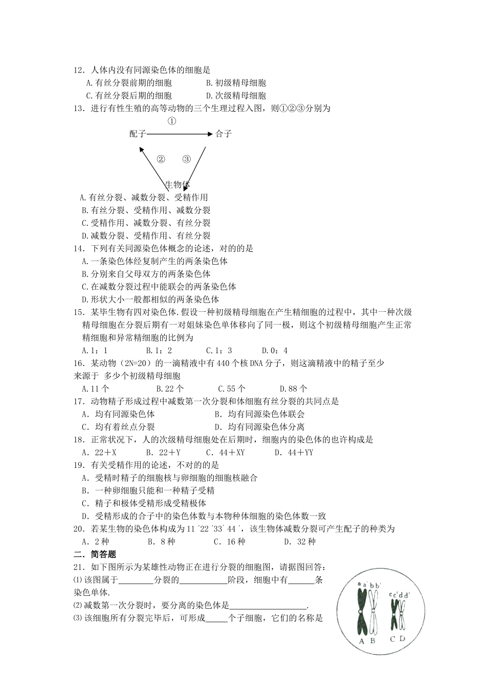 2025年高考生物总复习备考考点必背知识减数分裂和受精作用_第3页