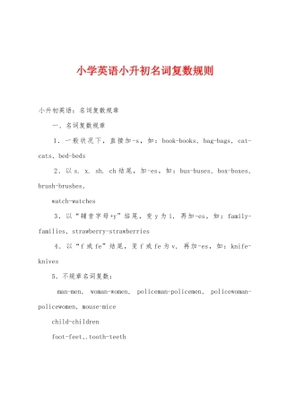 2025年小学英语小升初名词复数规则