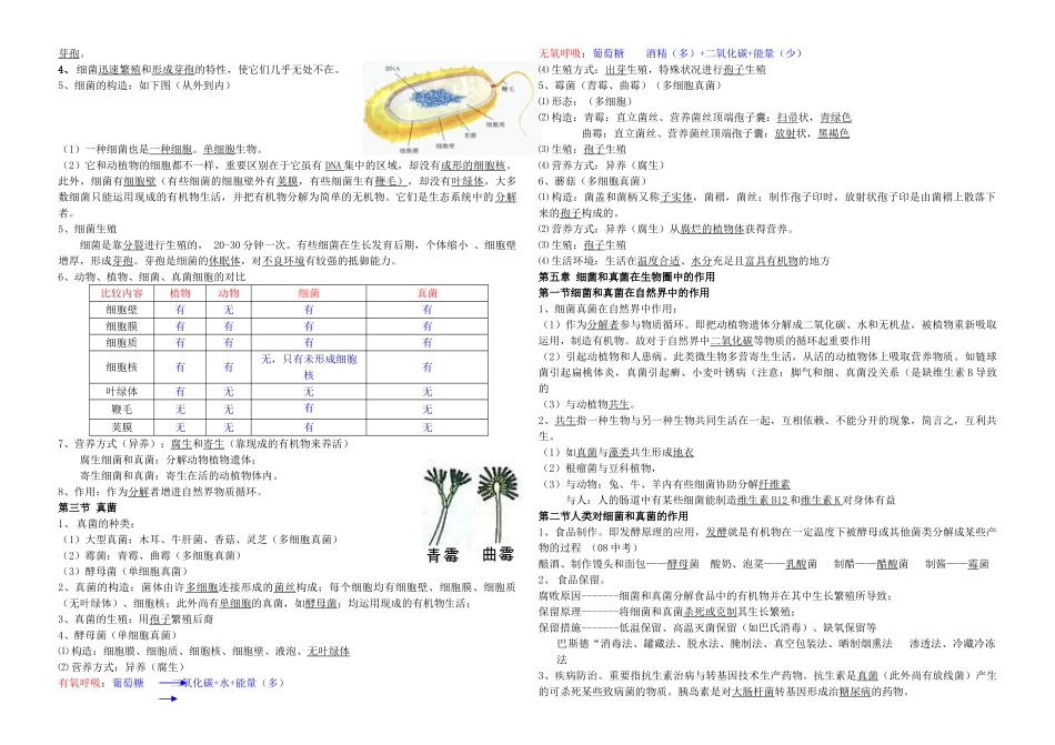 2025年人教版八年级生物上册期末全面总复习知识点总结文档良心出品_第3页
