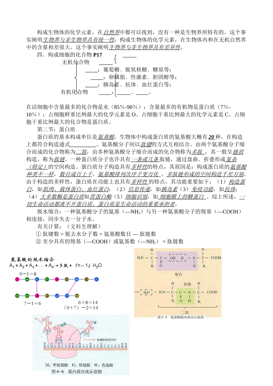 2025年生物知识点汇编电子版本_第3页