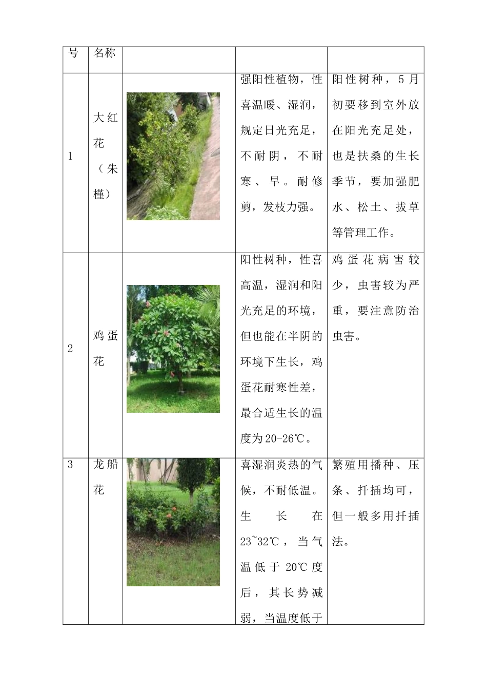 2025年绿化养护服务方案全册_第2页
