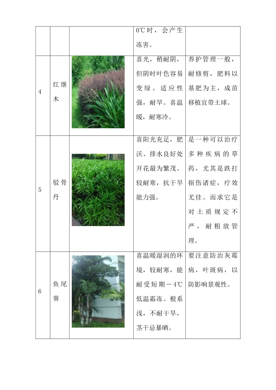 2025年绿化养护服务方案全册_第3页