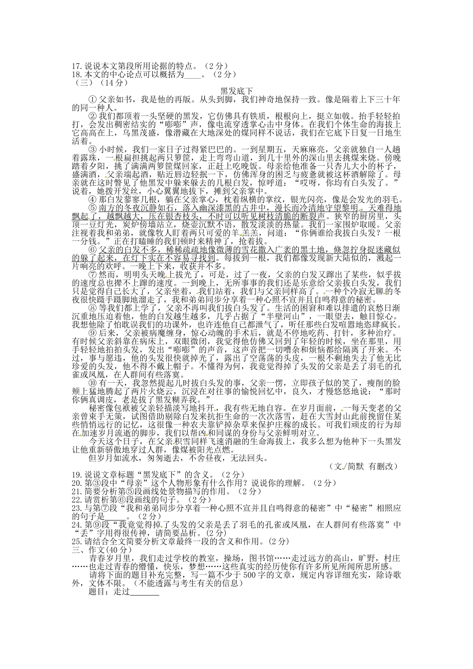 2025年宁夏回族自治区初中毕业暨高中阶段招生考试语文试题_第3页