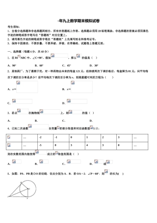 2025年四川中江县春季联考数学九年级第一学期期末学业水平测试模拟试题含解析