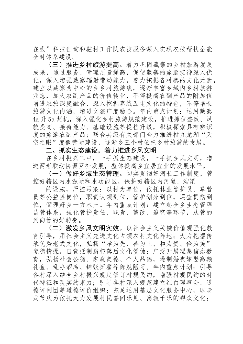 2025年乡村振兴工作计划_第2页