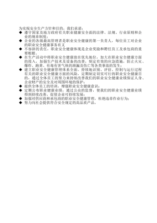 2025年精细化工安全标准化全套制度