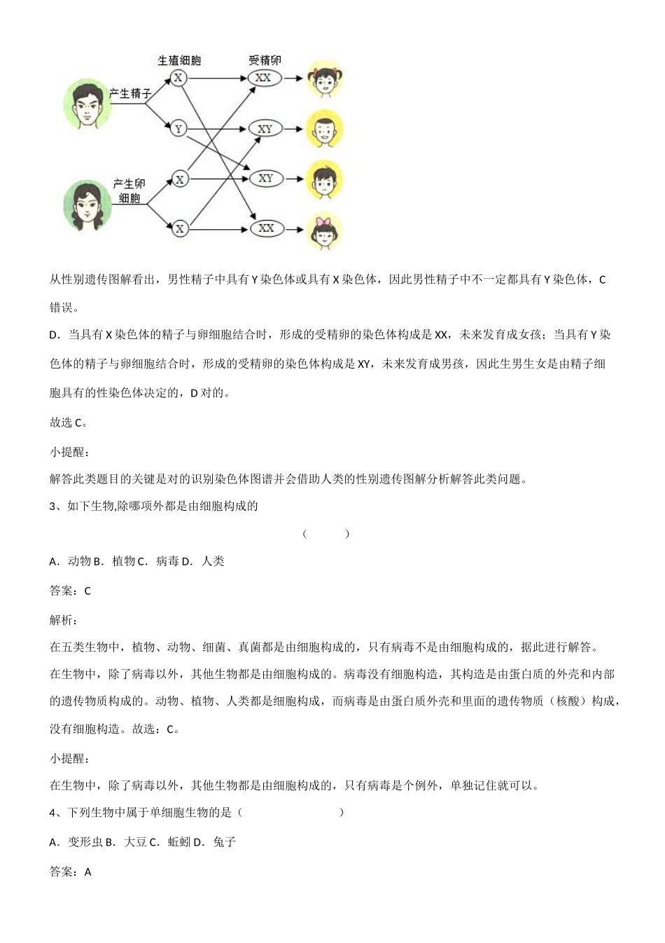 2025年初中生物中考生物必考知识点总结有此一套即可第869157期_第3页
