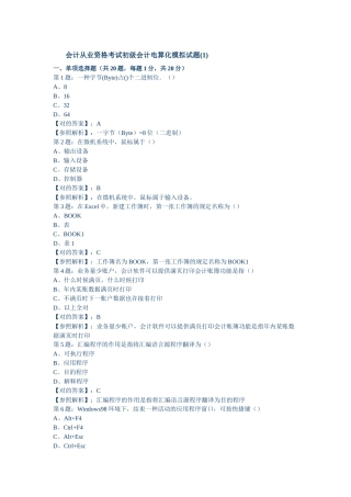 2025年会计从业资格考试初级会计电算化模拟试题