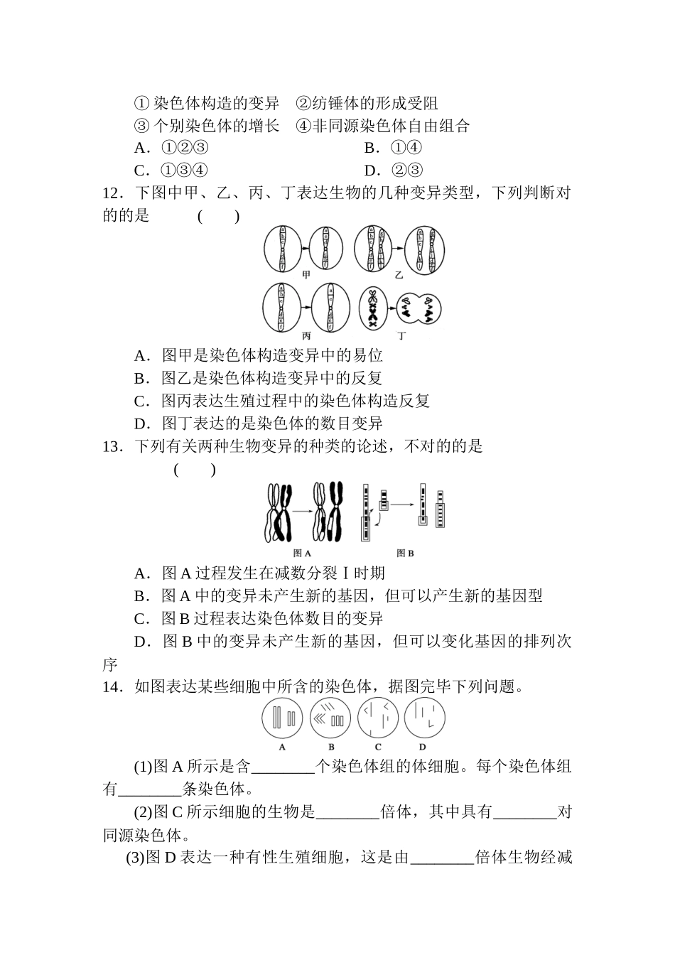 2025年高一生物下册知识点每课一练_第3页