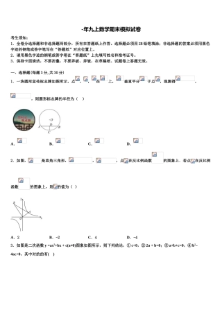 2025年上海市廊下中学数学九年级第一学期期末学业水平测试模拟试题含解析
