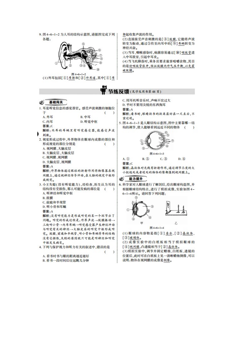 2025年七年级生物下册知识点课时训练题_第3页
