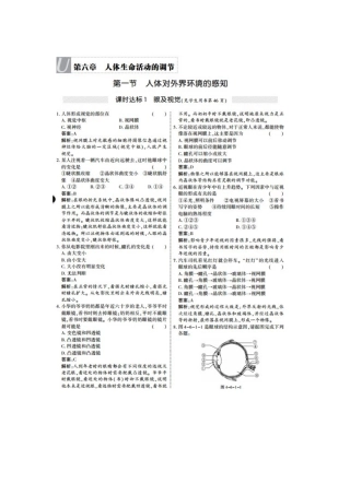 2025年七年级生物下册知识点课时训练题