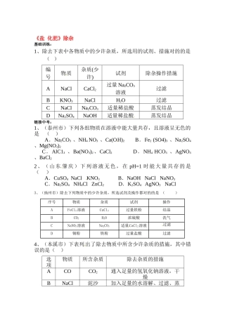 2025年九年级化学下册基础知识测试题