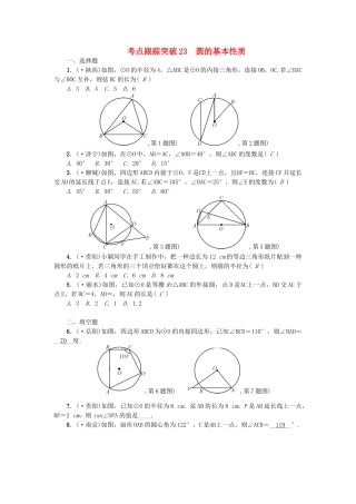 2025年中考数学考点聚焦图形的性质二跟踪突破23圆的基本性质试题