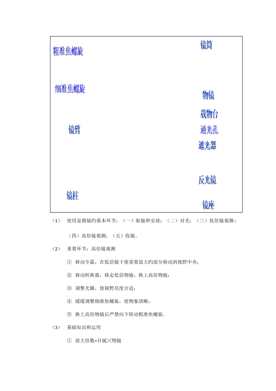 2025年高中生物必修一全套笔记_第2页