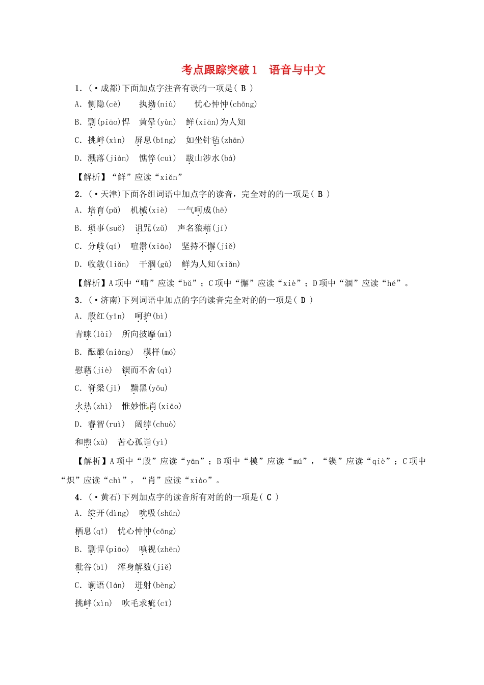 2025年中考语文考点复习考点跟踪突破语音与汉字_第1页