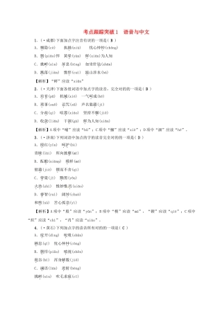 2025年中考语文考点复习考点跟踪突破语音与汉字