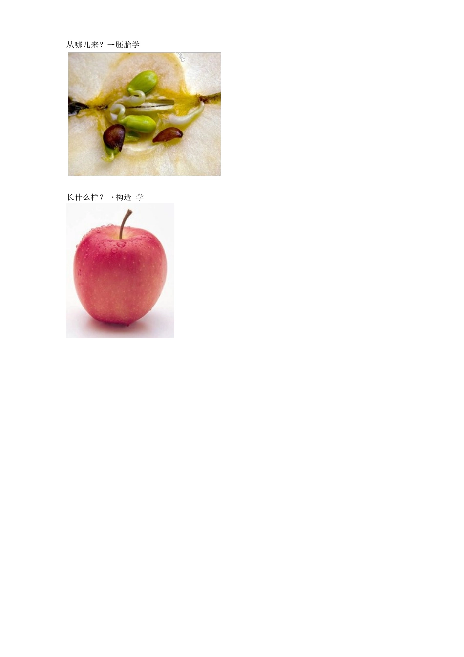 2025年口腔助理医师讲义之口腔组织病理学_第2页