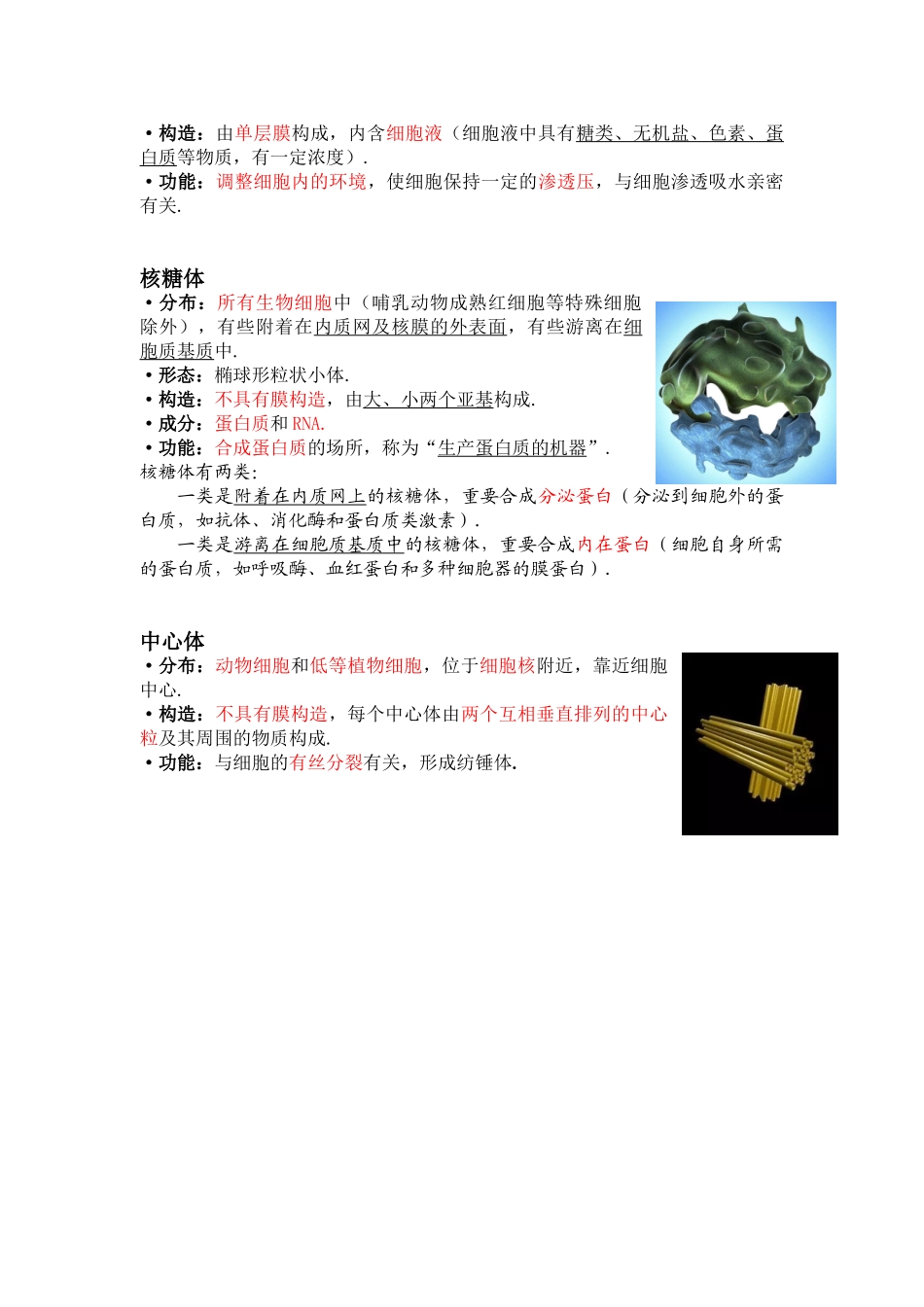 2025年高一生物细胞器知识点总结_第3页