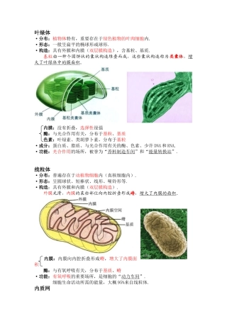 2025年高一生物细胞器知识点总结